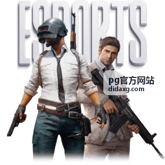 pg官方网站 使用帮助